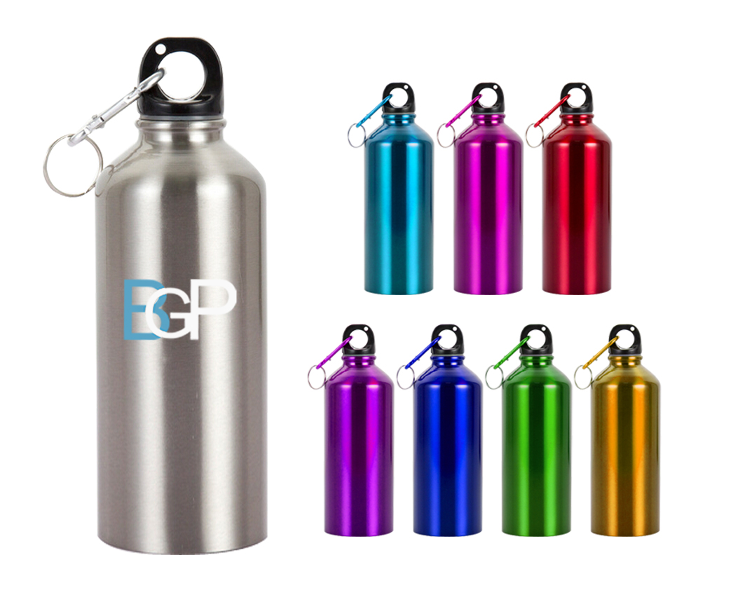 Stainless Steel Custom Logo Sports Water Bottle With Carabiner 20Oz