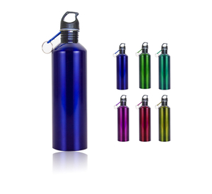 Classic Stainless Steel Custom Sports Water Bottle With Carabiner 25oz
