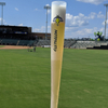 20oz Plastic Baseball Bat Shape Beer Cup BPA-Free Drinking Mugs - Perfect Gift for Baseball World Cup Baseball Fans