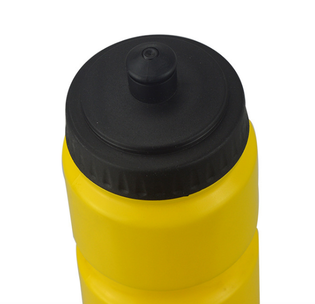 25 oz. Plastic Water Bottles With Push Cap