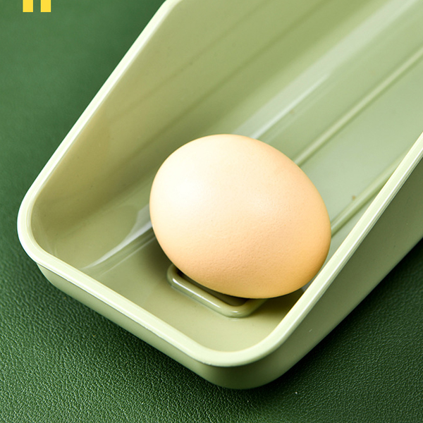 Egg Holder for Refrigerator, Multi-Layer Chicken Egg Storage Container for Stores Eggs
