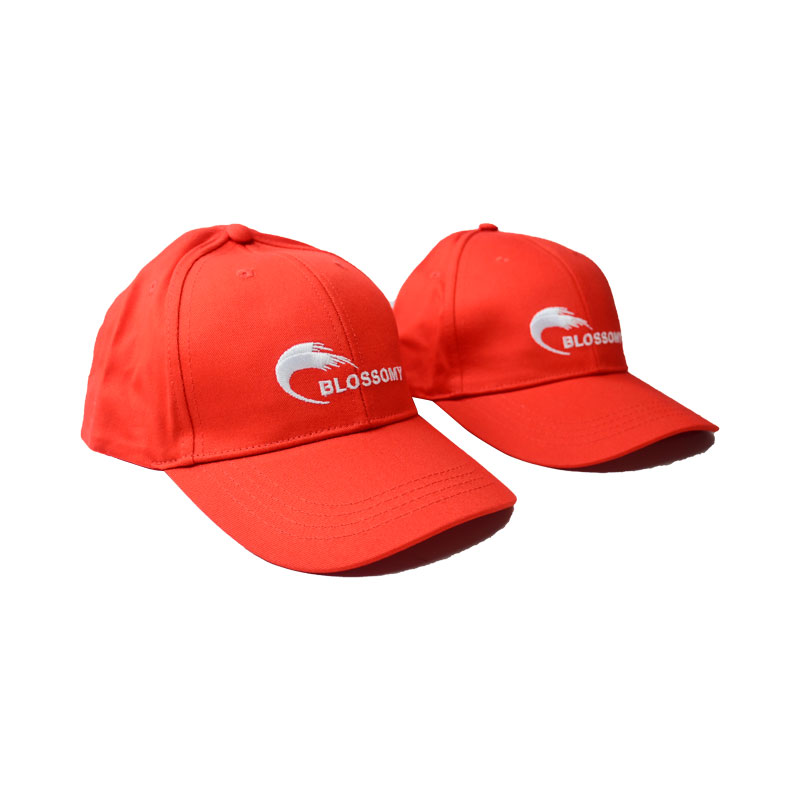 6 Panel Baseball Cap