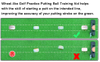 Wheel-Like Golf Practice Putting Ball