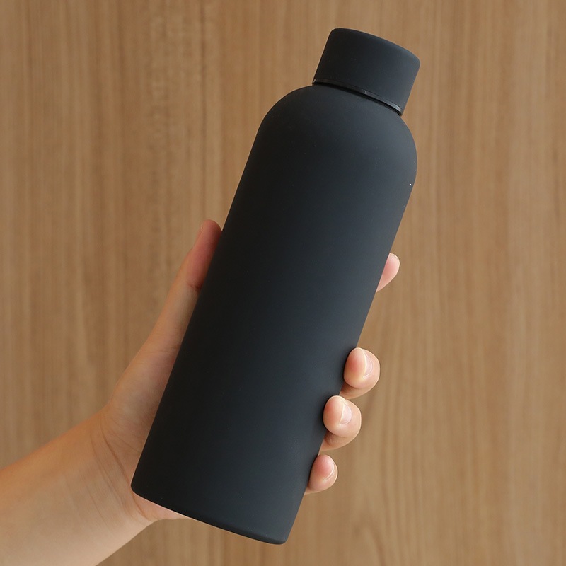 17oz Double-Wall Stainless Steel Insulated Water Bottle, Premium Insulated Vacuum Tumbler, BPA Free