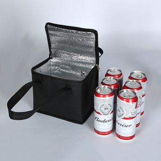 6 Cans Picnic Lunch Cooler, Oxford Cloth Aluminum Foil Insulated Cooler Bag