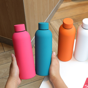 17oz Double-Wall Stainless Steel Insulated Water Bottle, Premium Insulated Vacuum Tumbler, BPA Free