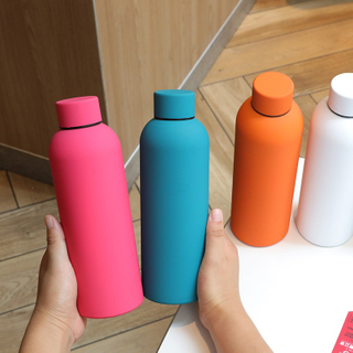 17oz Double-Wall Stainless Steel Insulated Water Bottle, Premium Insulated Vacuum Tumbler, BPA Free