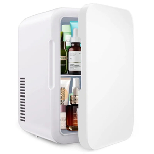 6L Portable Mini Fridge Cooler & Warmer, Dual Use Car & Home, ABS Material, Compact Refrigerator for Skincare, Drinks & Food