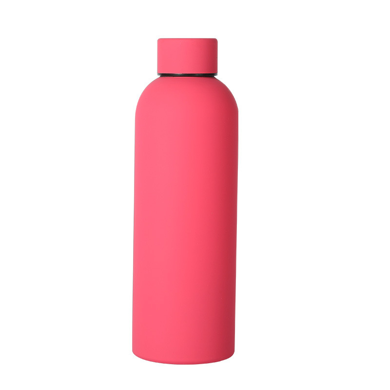 17oz Double-Wall Stainless Steel Insulated Water Bottle, Premium Insulated Vacuum Tumbler, BPA Free
