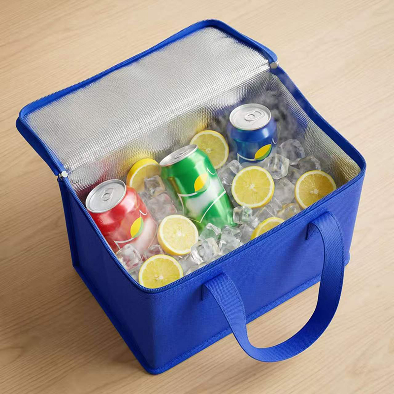 6 Cans Picnic Lunch Cooler, Oxford Cloth Aluminum Foil Insulated Cooler Bag