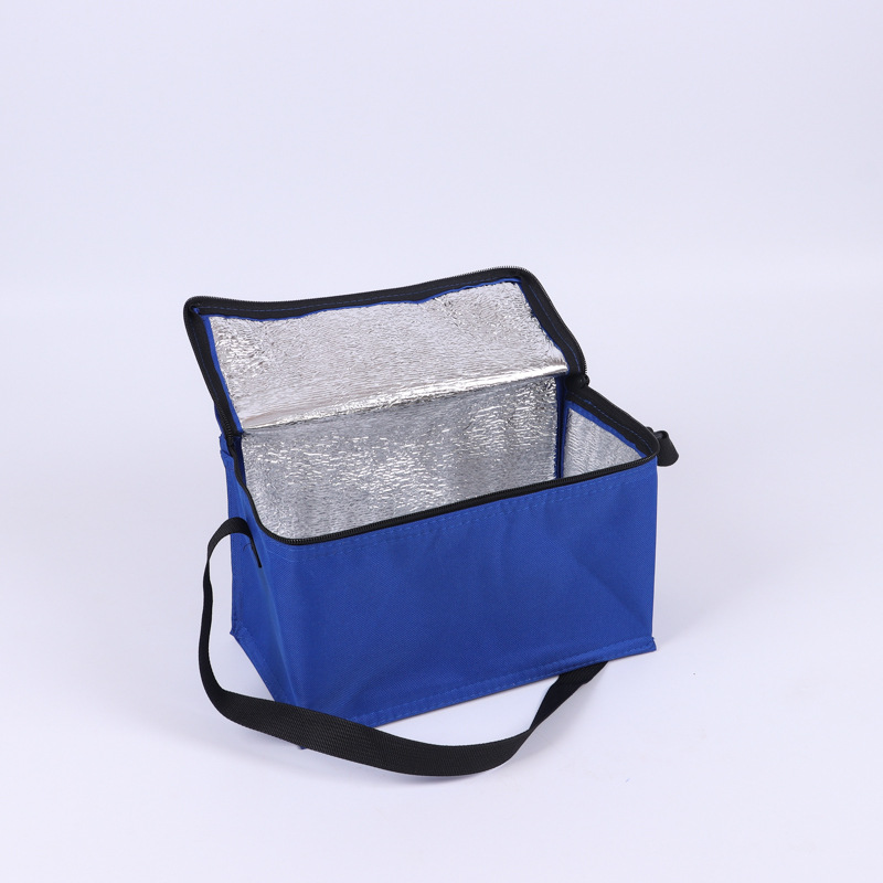 6 Cans Picnic Lunch Cooler, Oxford Cloth Aluminum Foil Insulated Cooler Bag