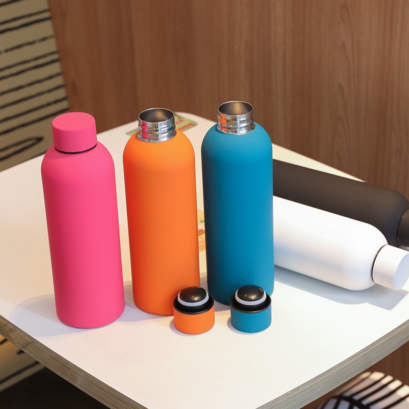 17oz Double-Wall Stainless Steel Insulated Water Bottle, Premium Insulated Vacuum Tumbler, BPA Free