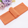 Athletic Polyester Cooling Towel