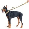 Heavy Duty Dog Leash with Shock Absorption 2 Padded Handles Training Leash Improved Dog Safety and Comfort
