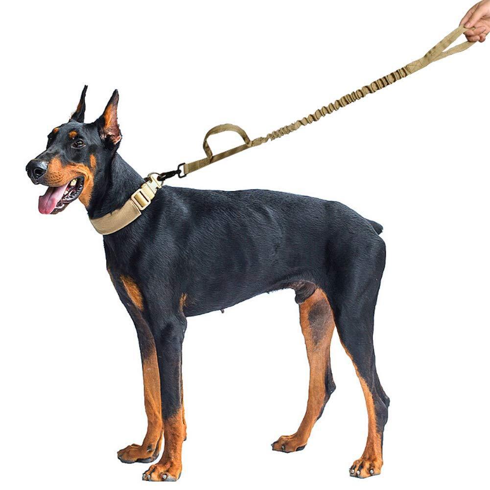 Heavy Duty Dog Leash with Shock Absorption 2 Padded Handles Training Leash Improved Dog Safety and Comfort