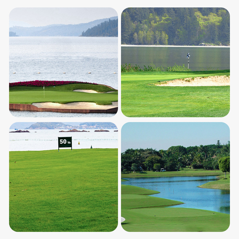 1.68" Dia Floating, Crack-resistant Double-Layer Golf Ball for Auea Golf