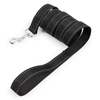 6FT Reflective Dog Leash