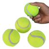 Mini Tennis Balls for Pet Playing Fecth Training for Small Size Dogs Interactive Dog Playing Balls