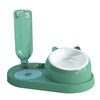 Stainless Steel Plastic 15-degree Tilted Double Dog Cat Feeder Bowl With Automatic Water Dispenser Bottle
