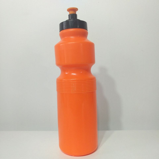 25 oz. Water Bottles With Push Cap