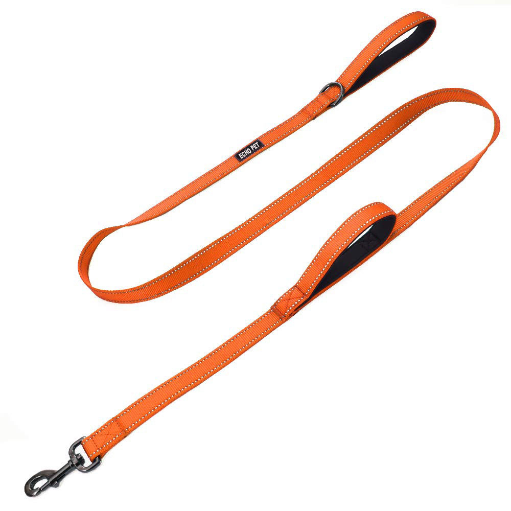 Nylon Dog Leash with Double Handles