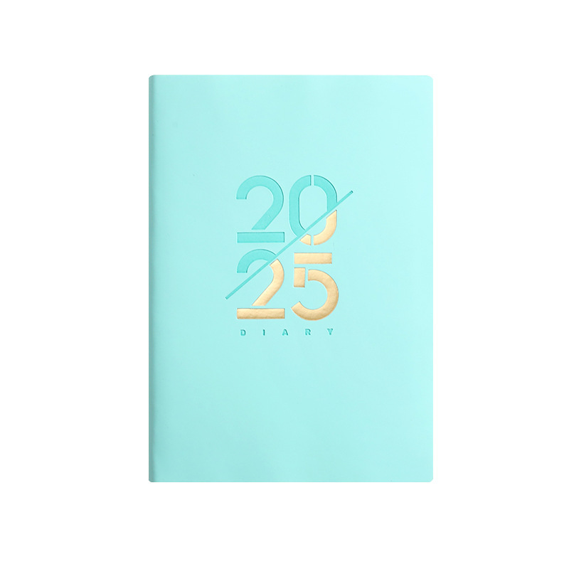 A5 Size 2025 Daily Planner Notebook Office Plan Household Organizer Time Management Writing Portable Book PU Leather 8.26x5.78inch