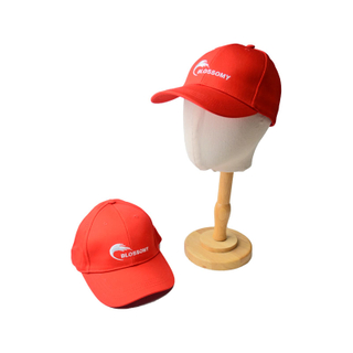 6 Panel Baseball Cap