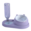 Stainless Steel Plastic 15-degree Tilted Double Dog Cat Feeder Bowl With Automatic Water Dispenser Bottle