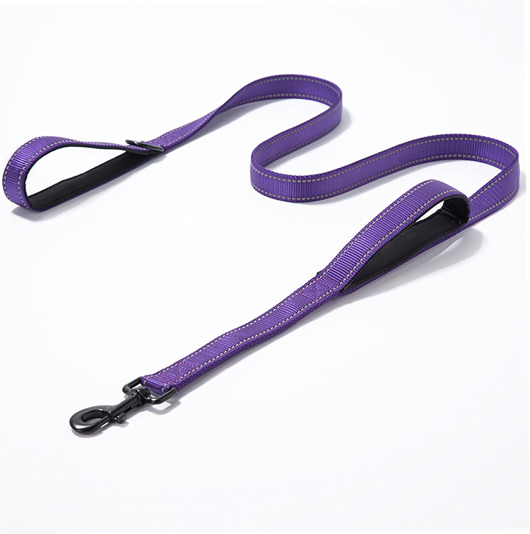 Nylon Dog Leash with Double Handles