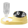 Stainless Steel Plastic 15-degree Tilted Double Dog Cat Feeder Bowl With Automatic Water Dispenser Bottle
